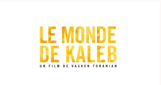 Impossible de lire la video